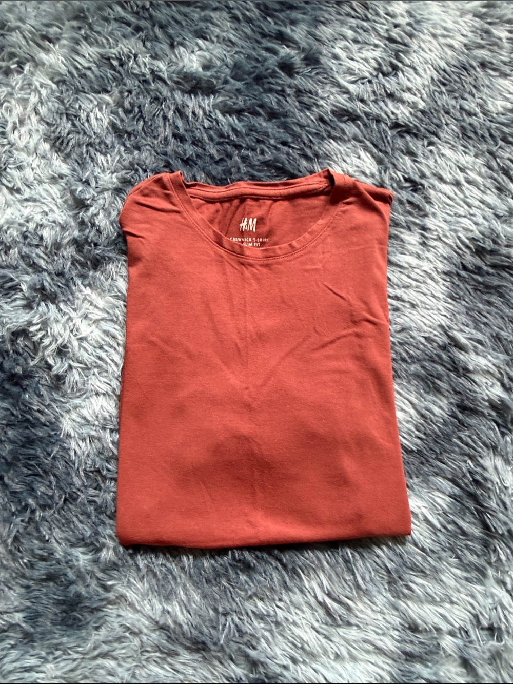 H&M Short Sleeve Crew Neck Tee in Burnt Orange